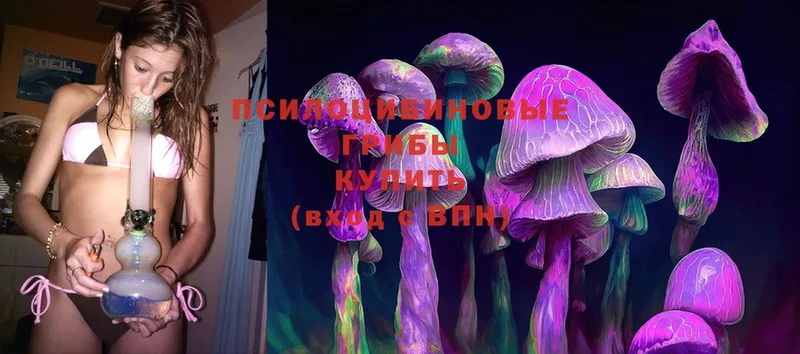 Галлюциногенные грибы Psilocybine cubensis  купить закладку  Лабытнанги 